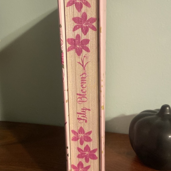 It Ends With Us - custom sprayed, READ DESCRIPTION/look at photos - Picture 6 of 8